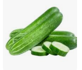 Cucumber