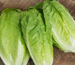 Lettuce
